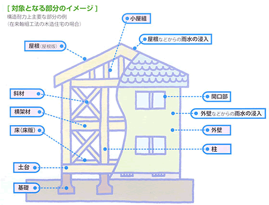 対象となる部分のイメージ