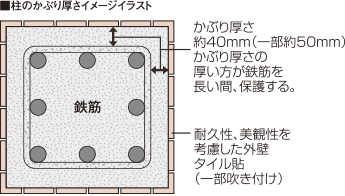 柱のかぶり厚さイメージイラスト
