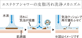 エステケアシャワーの皮脂汚れ洗浄メカニズム