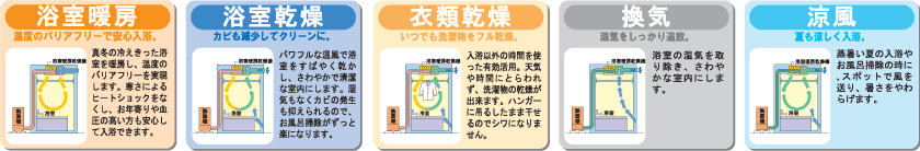 エコ・システム