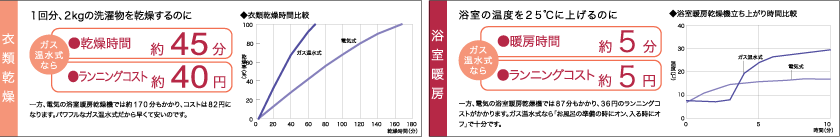 エコ・システム