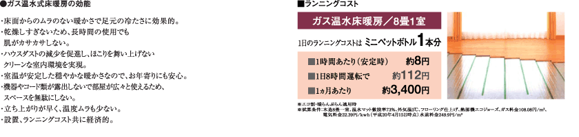 エコ・システム