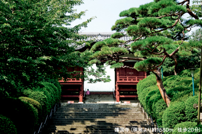 護国寺