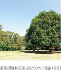 東高根森林公園