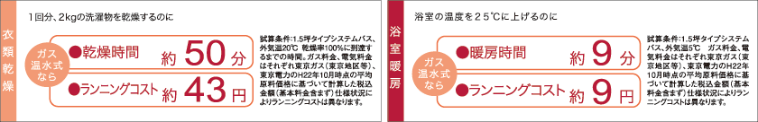 エコ・システム