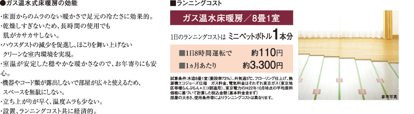 エコ・システム